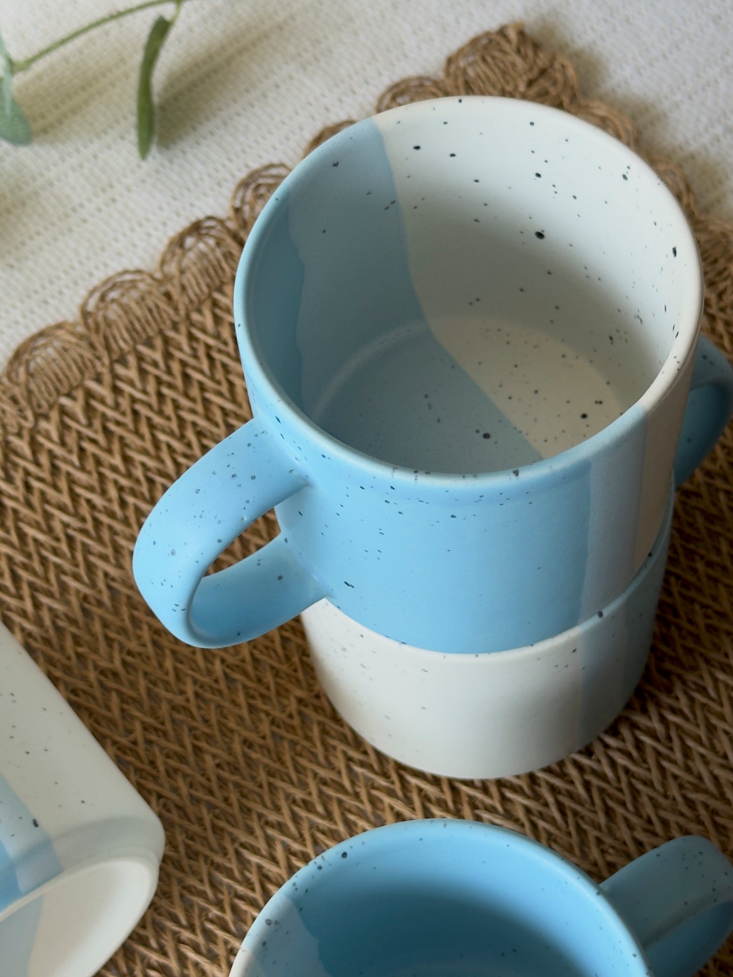 3 Tone Mug