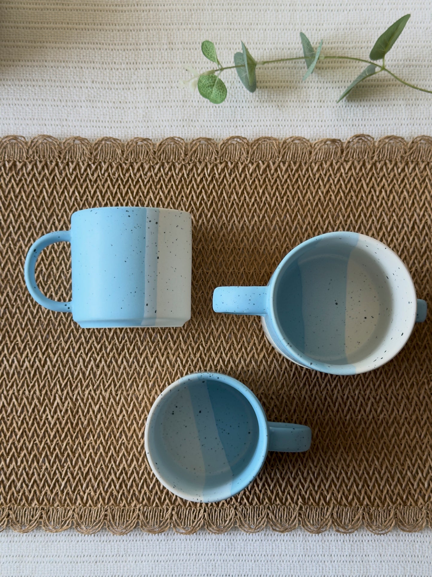 3 Tone Mug